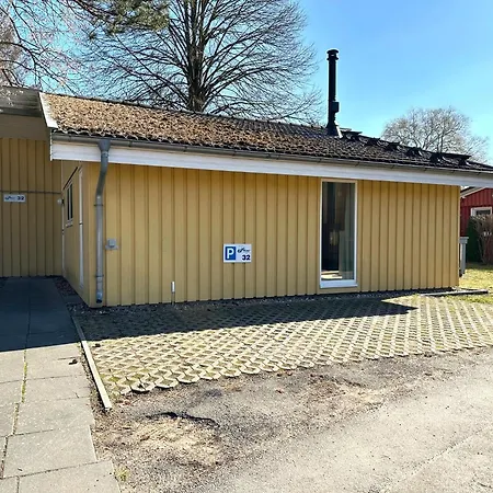 Seeschwalbe 32